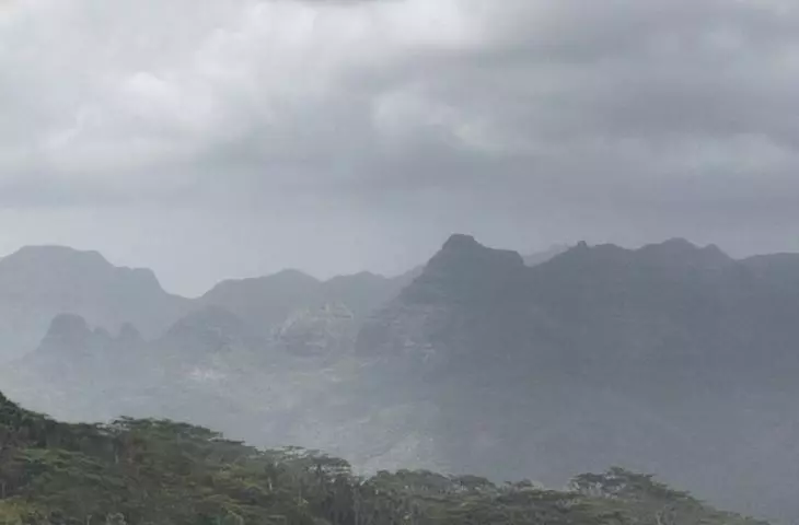 Projekt Tjukula Jukurrpa