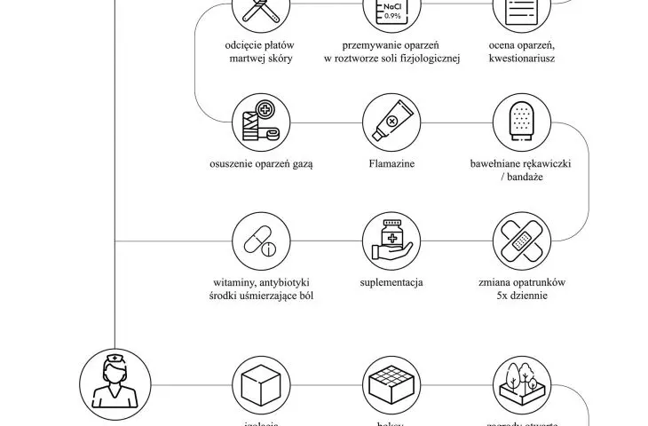 Projekt Tjukula Jukurrpa, schemat leczenia koali