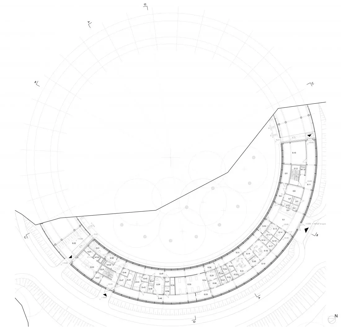 Rzut parteru