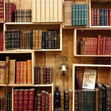 An idea for a spare room in the house
