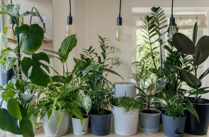 An idea for a spare room in the house