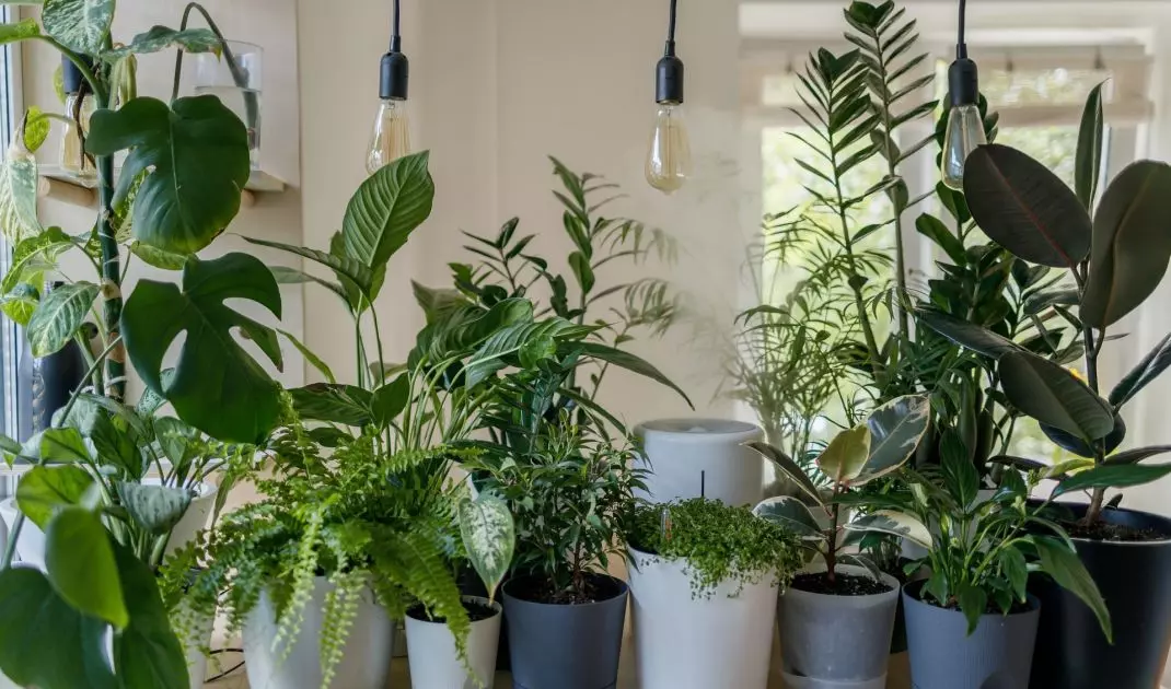 An idea for a spare room in the house