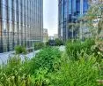 The leisure terrace of the Mennica Legacy Tower office complex in Warsaw.