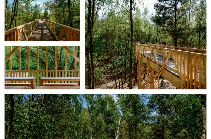 Ścieżka w koronach drzew, plansza konkursowa