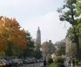 View of Copernicus Street