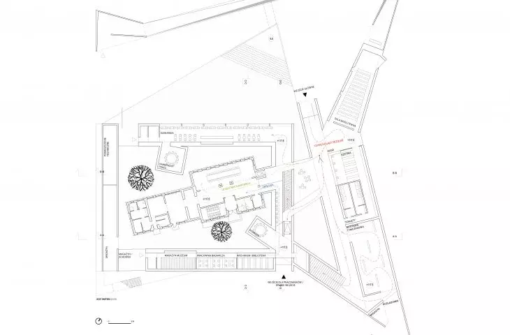 Rzut Partera