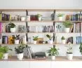 Characteristic shelves in the living room