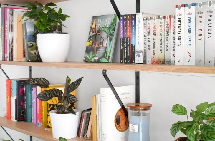 Półka pełna książek i roślin
