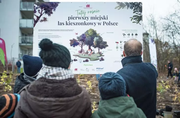 Akcja zorganizowana przez Dewelopera i miasto