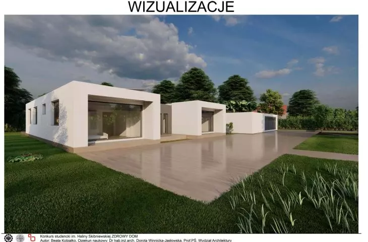 wizualizacje