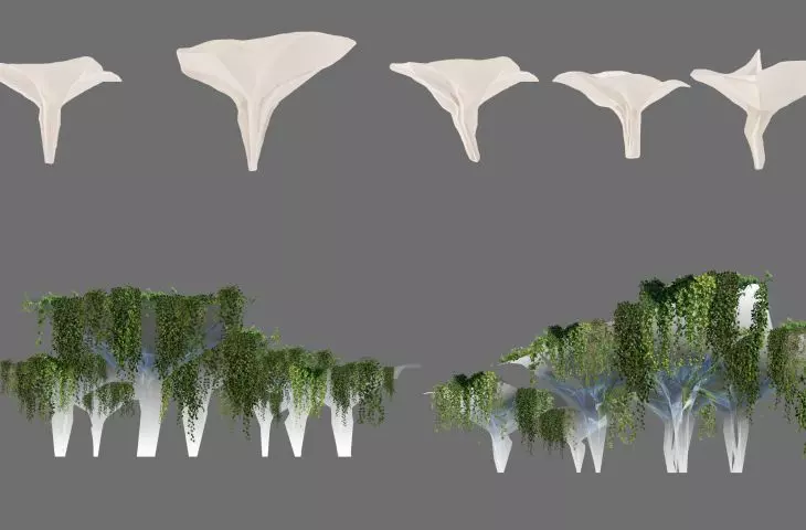 Funnel-shaped objects collect water and are covered with greenery