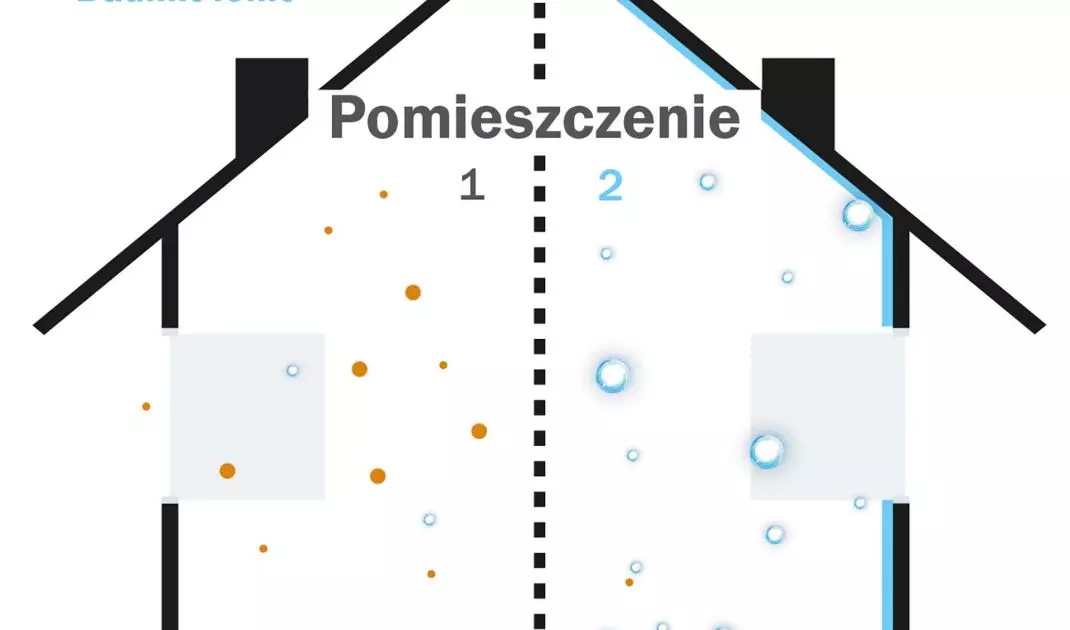 Niewidoczne dla oka cząsteczki jonów działają jak magnesy na kurz oraz pyłki unoszące się w powietrzu