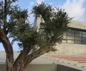 Kościół św. Szarbela Makhloufa w Zakricie