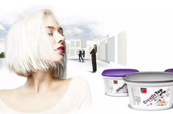 Facade paints