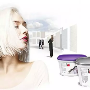 Facade paints