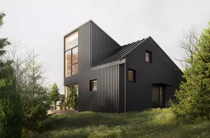 House overlooking pasture has distinctive body
