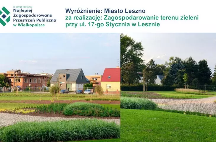 Development of the green area at 17-go Stycznia Street in Leszno (Leszno). 