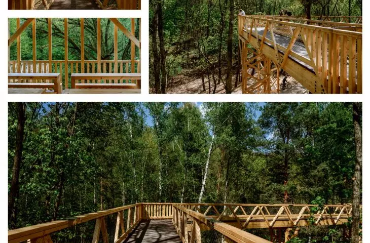 A path in the treetops in Poznan
