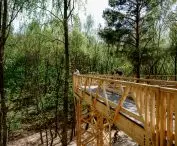 A path in the treetops in Poznan