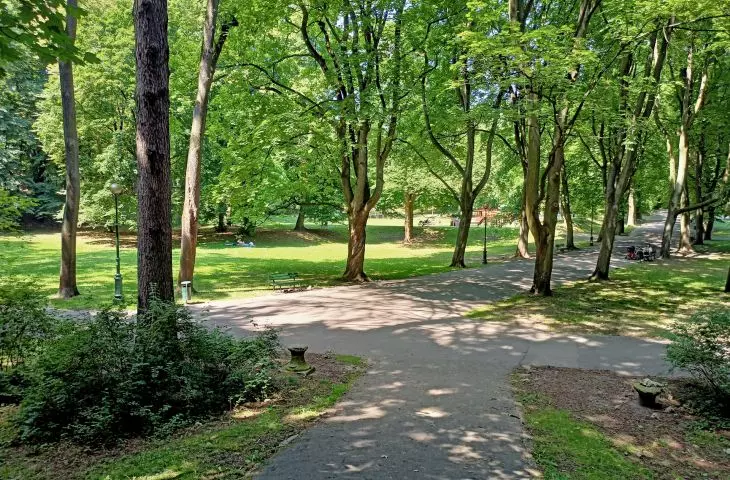 Bednarski Park