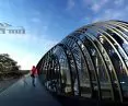 Projekt Nucleus — beauty of science, taras