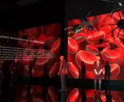 Projekt Nucleus — beauty of science, strefa AI, nanoinżynieria