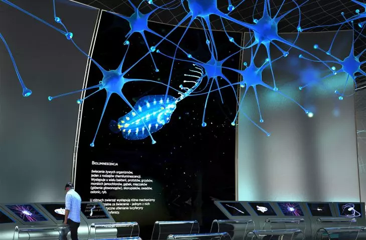 Projekt Nucleus — beauty of science, strefa MICRO, bioluminescencja