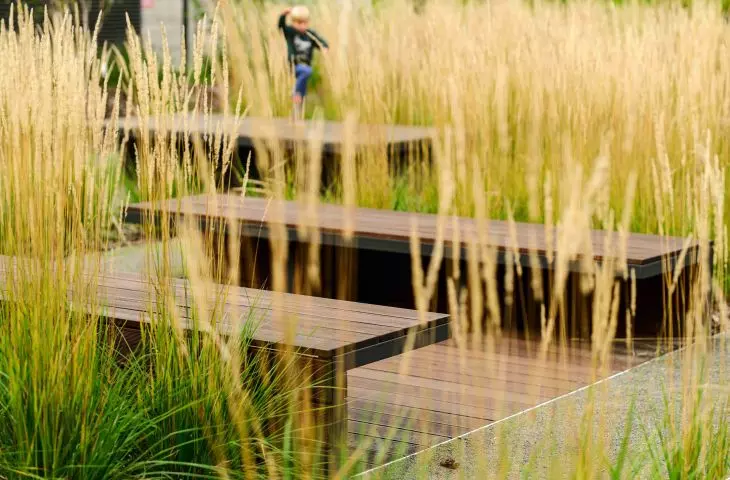 The main material used in the project is wood