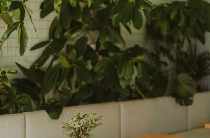 Plants create a jungle in the interior of the premises