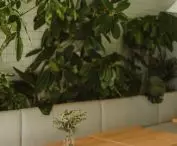 Plants create a jungle in the interior of the premises