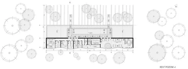 rzut of level +1 of the representative building