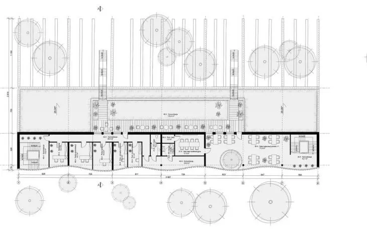 plan of level +1 of the representative building