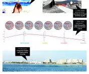 MESH | MORPHOLOGY, ENVIRONMENT, SUSTAINABILITY, HUMAN COMFORT
