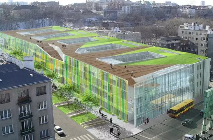 Visualization of the complex