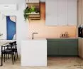 House near Warsaw - kitchen