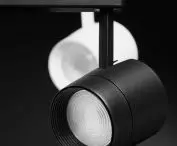 Expo Adjust