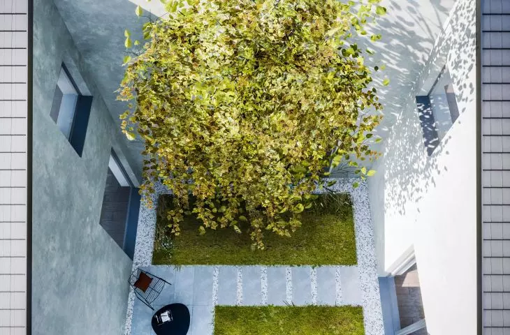W atrium posadzona zostanie grusza