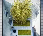 W atrium posadzona zostanie grusza