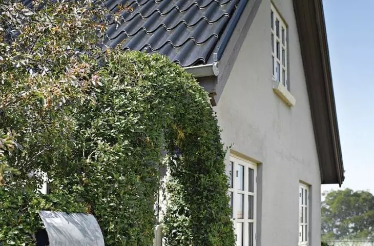Home in an eco-climate