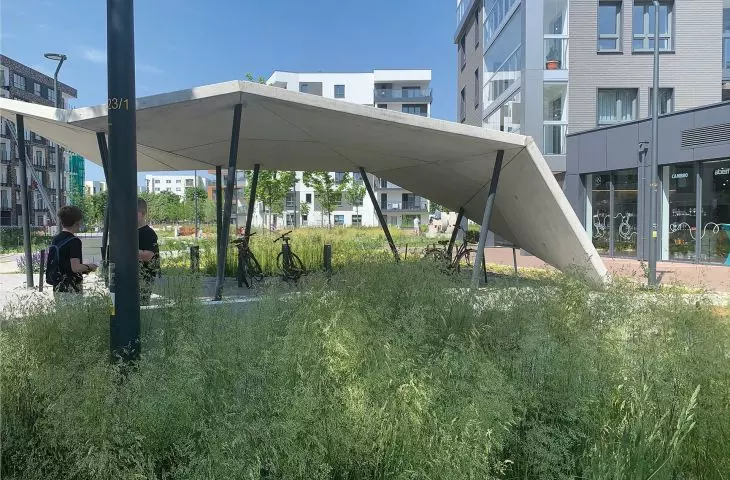 zieleń pracująca na Osiedlu Idea w Gdańsku