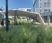 working green at the Idea housing estate in Gdańsk