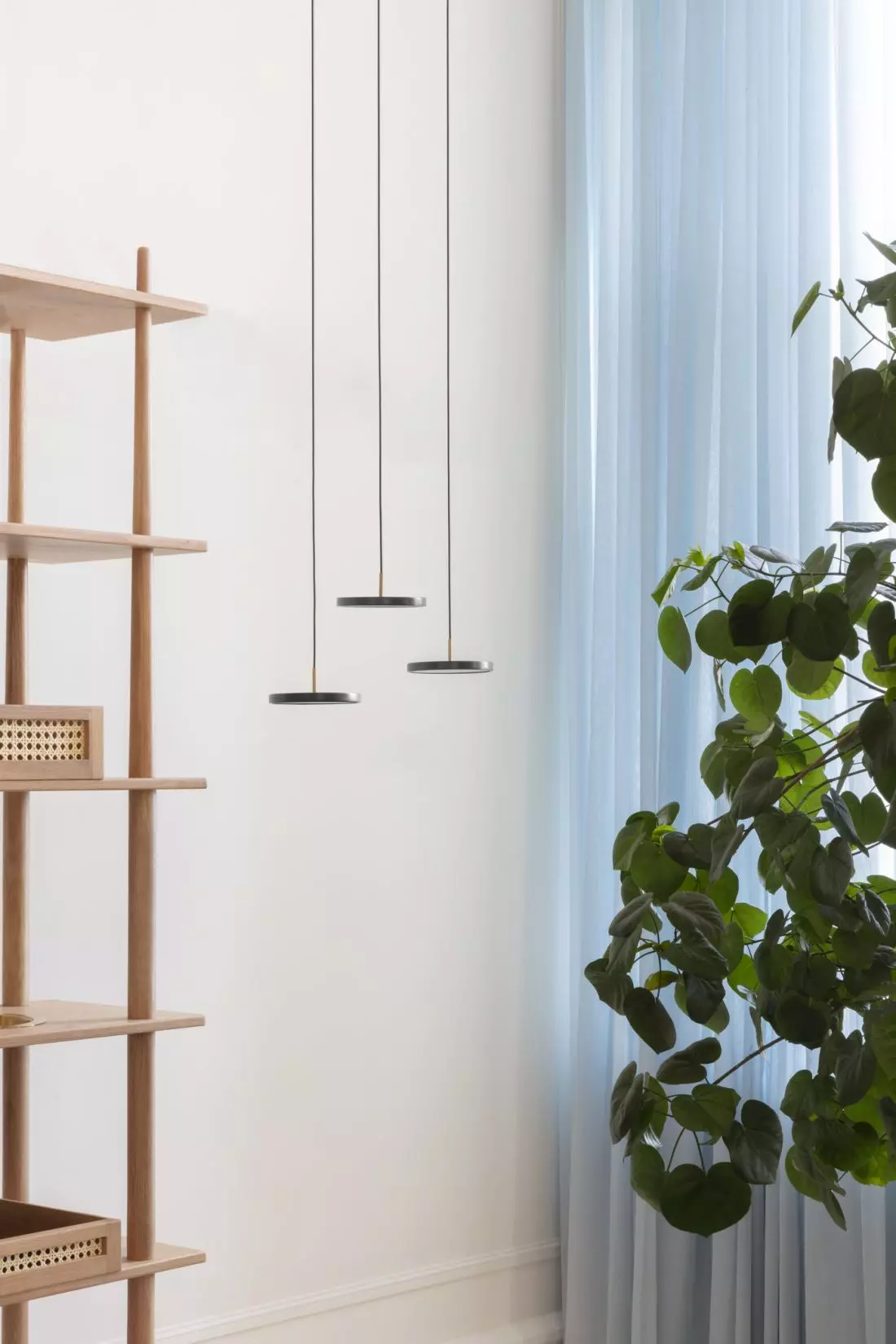 Asteria Micro cluster 3 nuance
mist