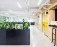 Rows of steel pots on the first floor are filled with plants
