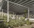 Samkomuhús project, greenhouse interior