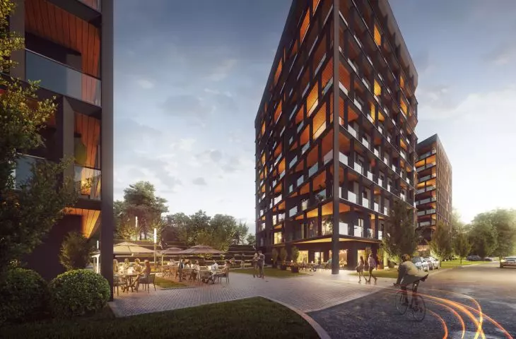 Visualization of the VIDOK complex