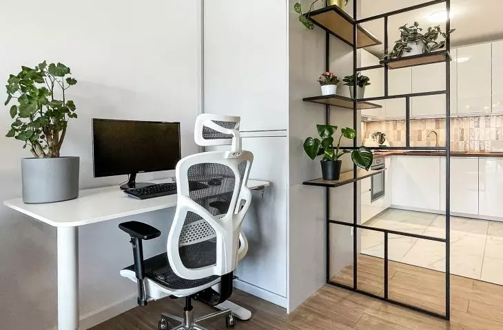 A bookcase separates the living room from the kitchen and vestibule