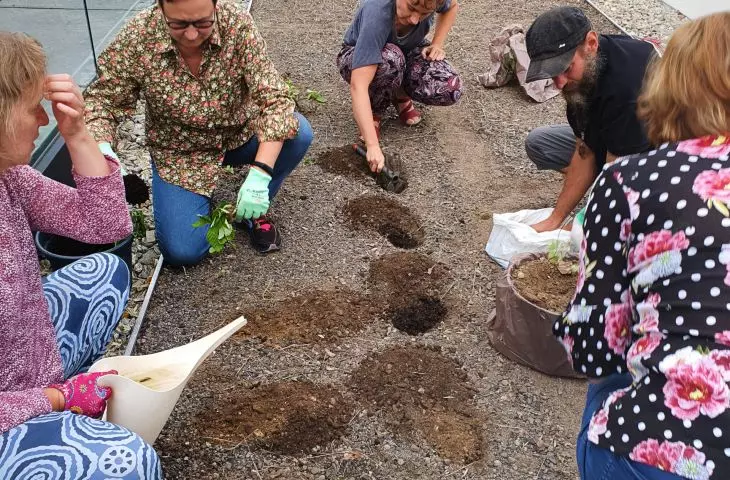 community garden