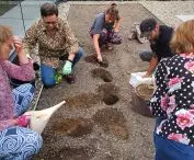 community garden