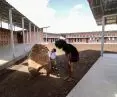 Riverside School in Benga