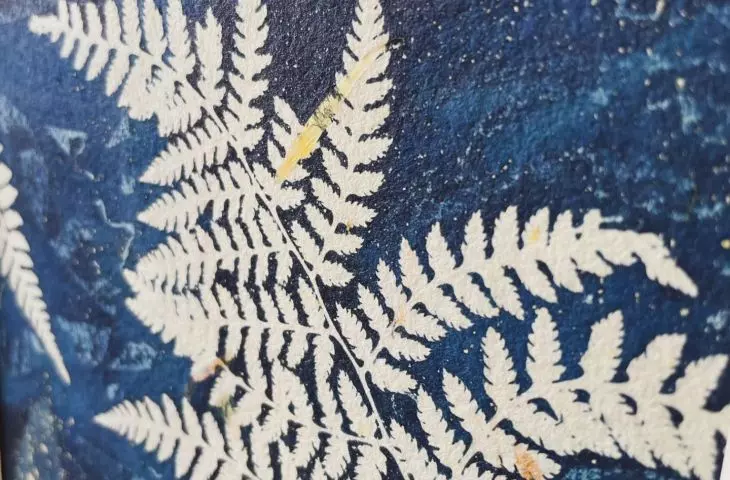 Cyanotype
